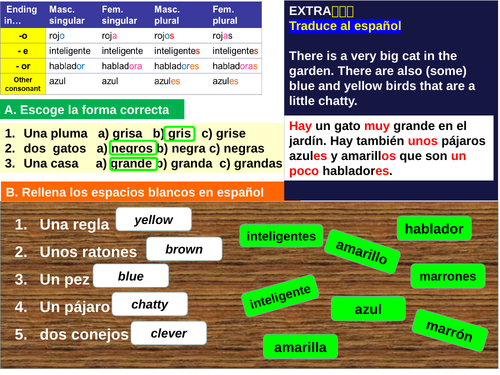 Adjectives practice- Spanish