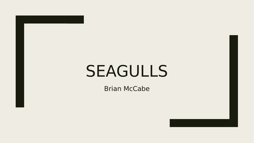 Seagulls Brian McCabe Poetry