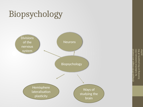 AQA A Level Psychology – Advance Information 2022- Revision- Paper 2 - Biopsychology