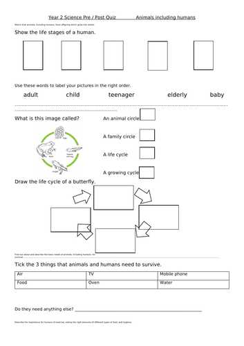 Animals including Humans Pre / Post Quiz Year 2 Science