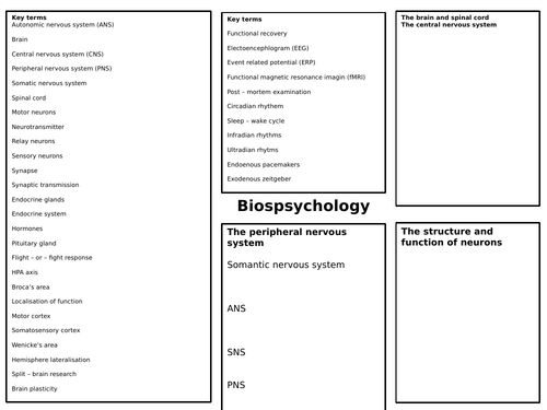 Biopsychology Knowledge Consolidator
