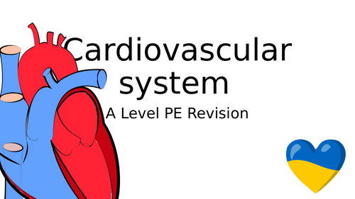 Cardiovascular system revision A Level PE