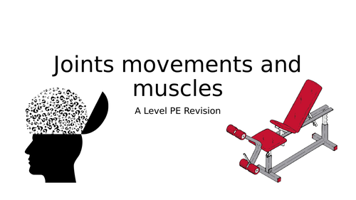 Joints, Movements and Muscles - A Level PE