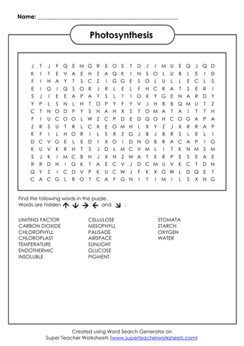 Photosynthesis word search