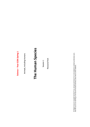 To describe the changes as humans develop to old age.