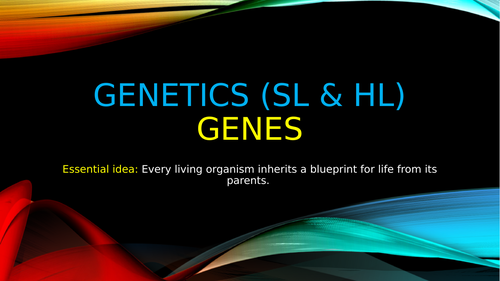 IB BIOLOGY TOPIC 3 - Genetics