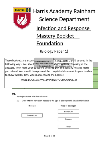 B3 Revision exam practice