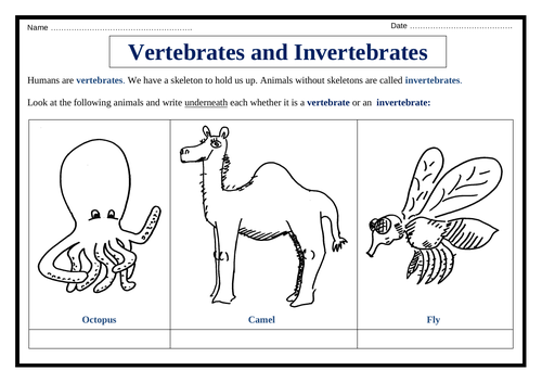 Vertebrates and Invertebrates - Worksheet | Teaching Resources