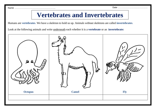 Vertebrates and Invertebrates - Worksheet