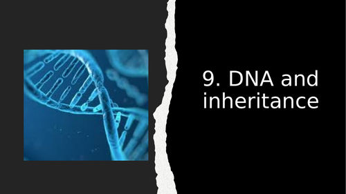 WJEC DNA and inheritance