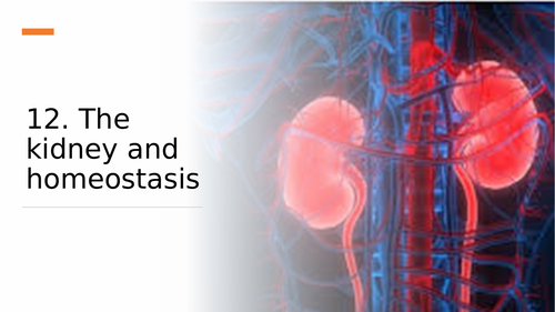 WJEC The kidney and homeostasis