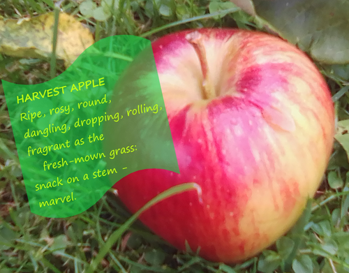 Apple Poem