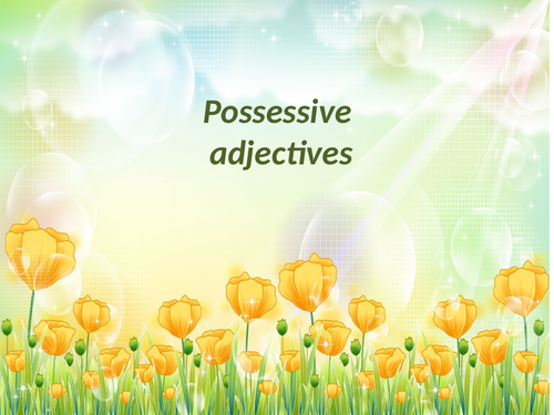 Possessive adjectives
