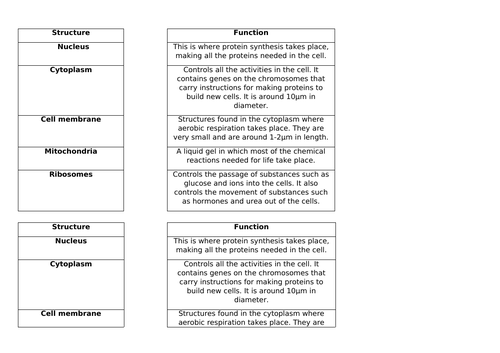 AQA GCSE Animal Cells