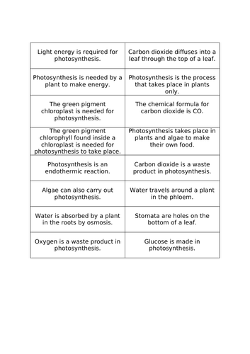 AQA GCSE Photosynthesis