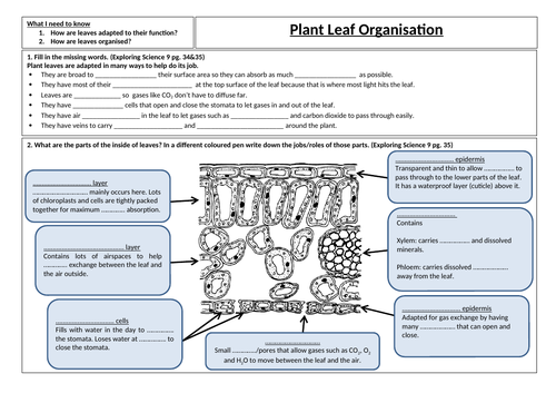 Plant organisation
