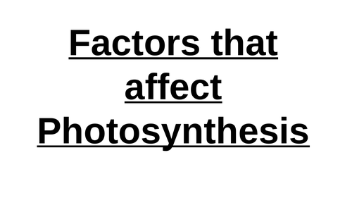 Factors that affect photosynthesis