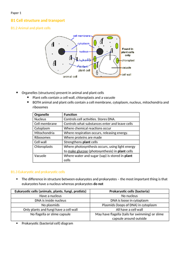 AQA GCSE Trilogy notes and questions 2022