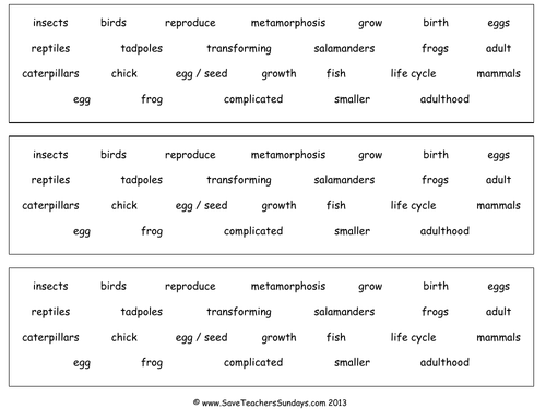 Comparing Different Animal Life Cycles KS2 Lesson Plan and Worksheet