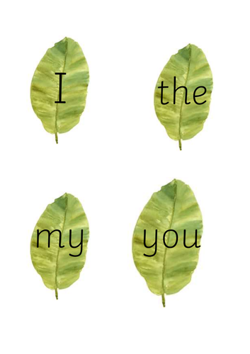 High Frequency Words (RWI Red Words) for EYFS/ Y1 on Acorns & Leaves