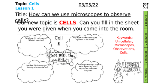 Microscope lesson, y7