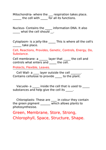 Structures within plant and animal cells