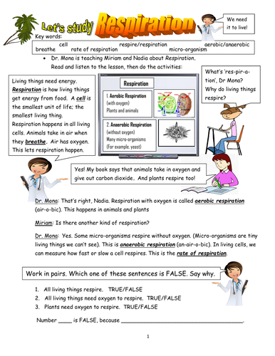 Biology! Aerobic and Anaerobic Respiration