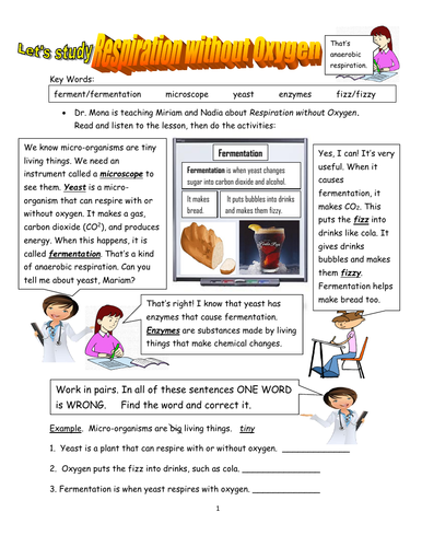 Biology! Anaerobic respiration and Fermentation