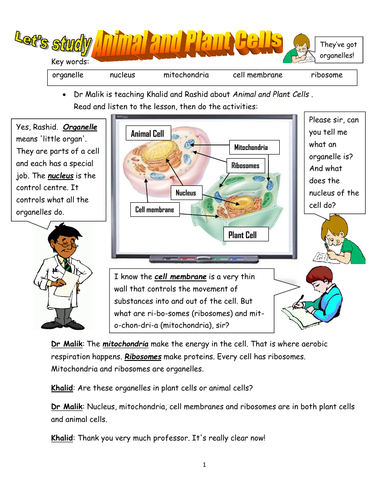 Biology! Animal and Plant Cells