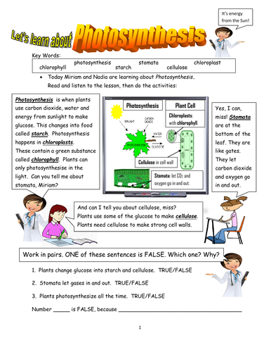 Biology! Photosynthesis and Plants