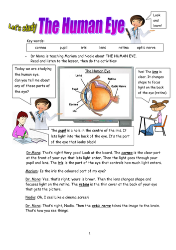 Biology! The Human Eye