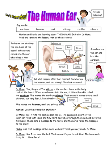 Biology! The Human Ear