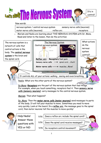 Biology! The Nervous System