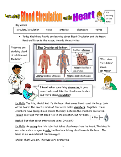 Biology! Blood Circulation and The Heart