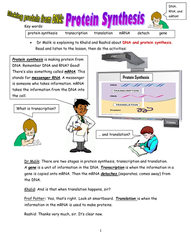 Biology! More about DNA, mRNA, Transcription, Translation and Protein Synthesis