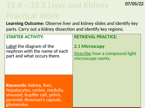 OCR Biology A- 15.4/15.5 The Liver and Kidney Practical Work