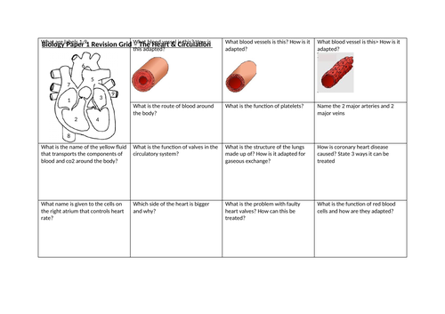 The Heart & Circulation Revision Grid