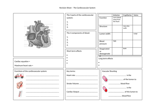 Revision Sheet - The Cardiovascular System