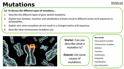 AS/A2-Level AQA Biology Gene and Chromosome Mutations Full Lesson