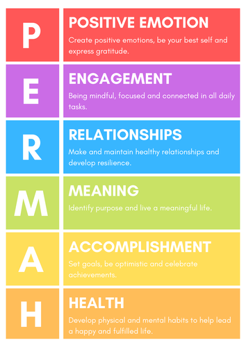 PERMAH Chart - Class Poster - Mindfulness & Strengths