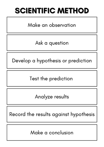 Scientific Method Worksheets - Activity Template