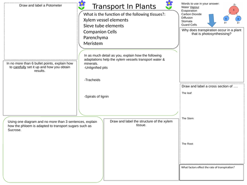 OCR A Level Biology Transport in Plants Revision