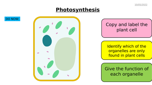 AQA GCSE Biology – B8 Photosynthesis - PowerPoint pack