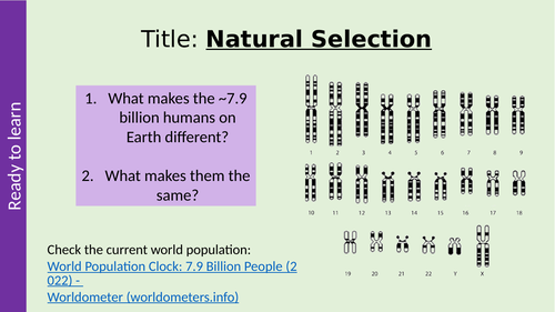 AQA Genetic Diversity and Adaptation (natural selection) A Level Biology