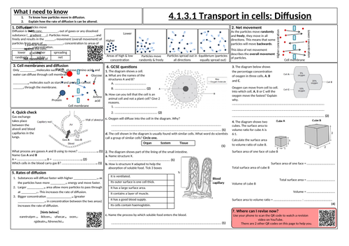 Transport in Cells: Diffusion