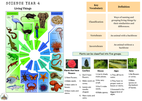 Year 4, Year 5, Year 6 Science: Living Things and their habitats - Knowledge Organisers