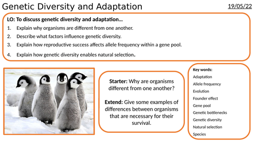 AS/A2-Level AQA Biology Genetic Diversity and Adaptation Full Lesson