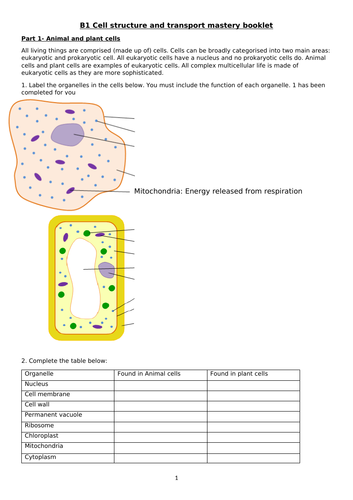 AQA GCSE Biology B1 Mastery Booklet & Knowledge Organiser