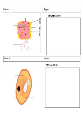 Cell Structure Lesson Sequence