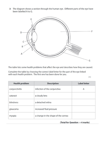 IGCSE paper questions on the specification